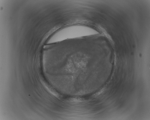 X0000081470250200702092347