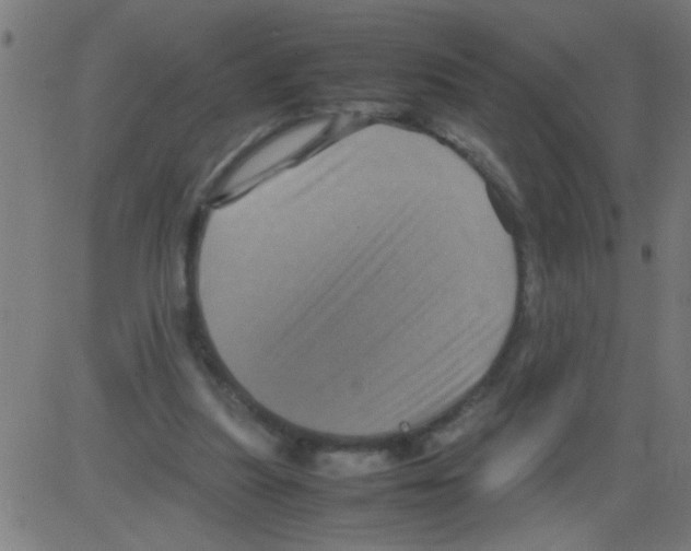 X0000081470251200702092347