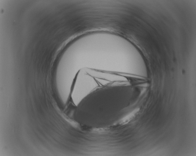 X0000081470252200702092347