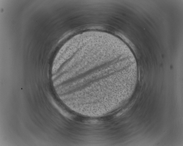 X0000081470253200702092347