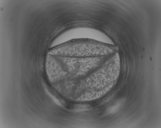 X0000081470255200702092347