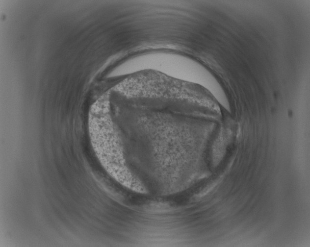 X0000081470256200702092347