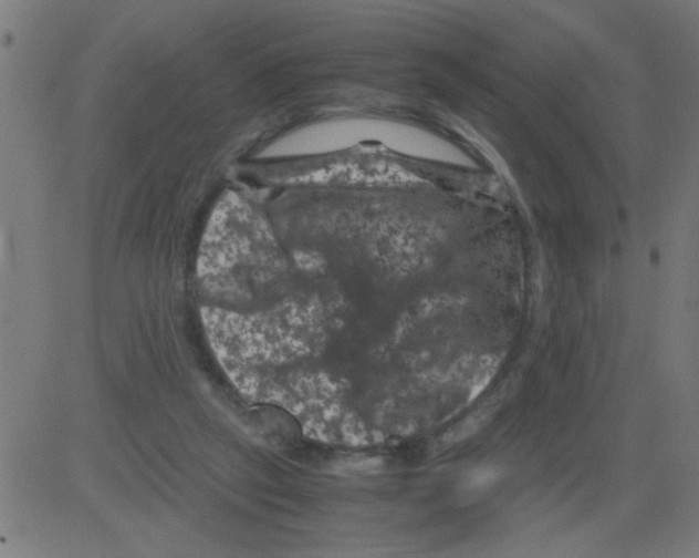 X0000081470257200702092347