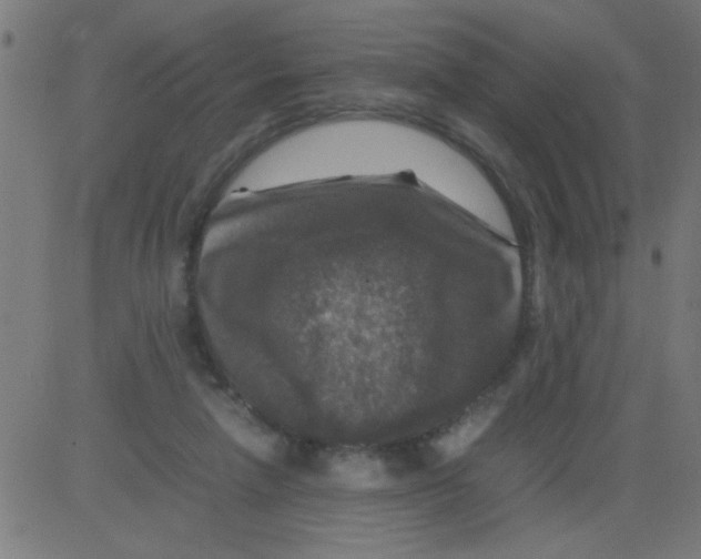 X0000081470258200702092347