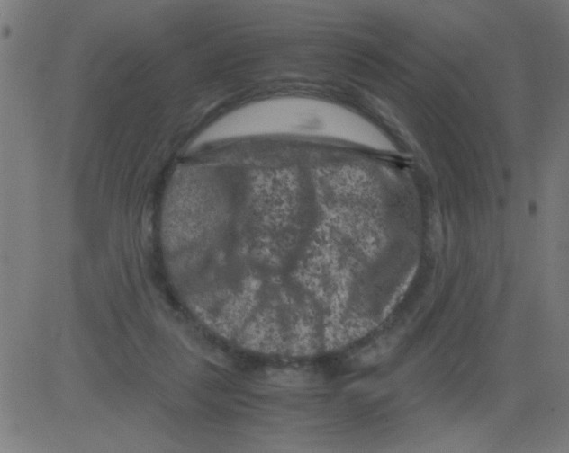 X0000081470259200702092347