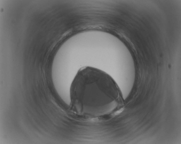 X0000081470260200702092347