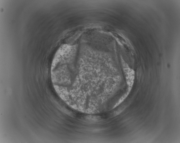 X0000081470261200702092347