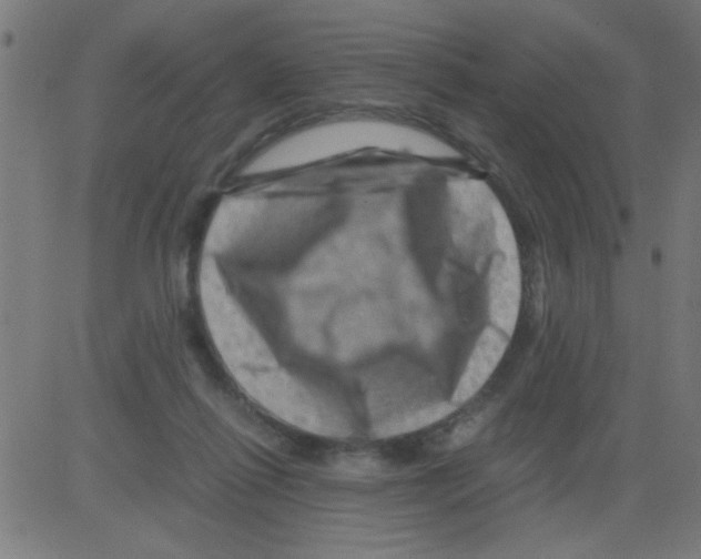 X0000081470262200702092347