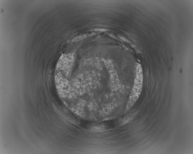 X0000081470263200702092347