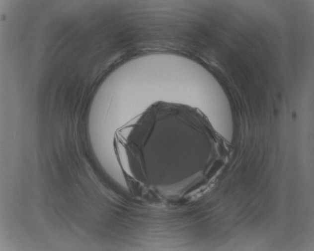 X0000081470264200702092347