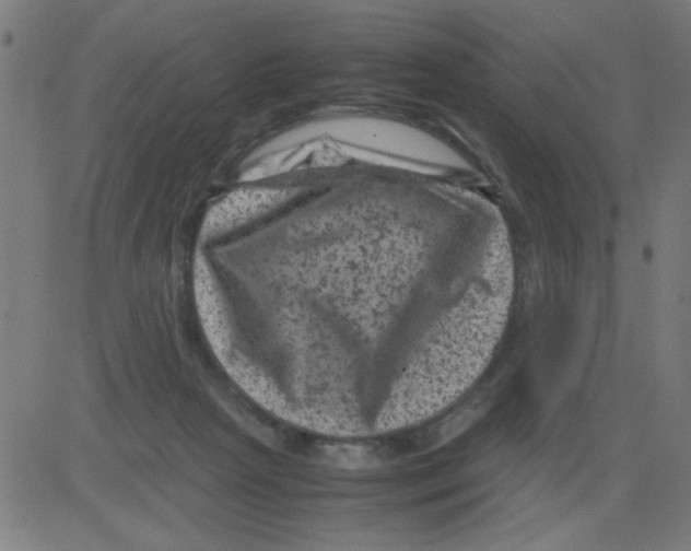 X0000081470265200702092347