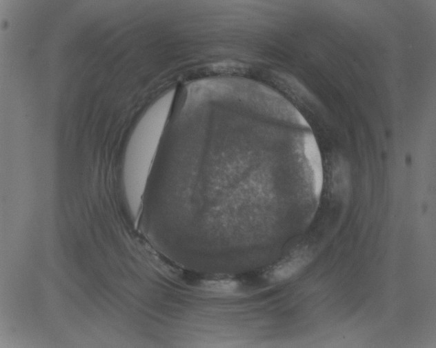 X0000081470266200702092347