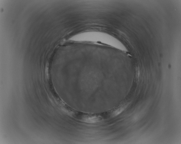 X0000081470267200702092347