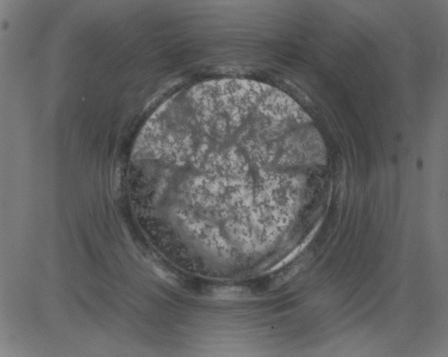 X0000081470268200702092347