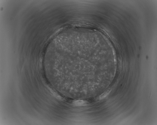 X0000081470269200702092347