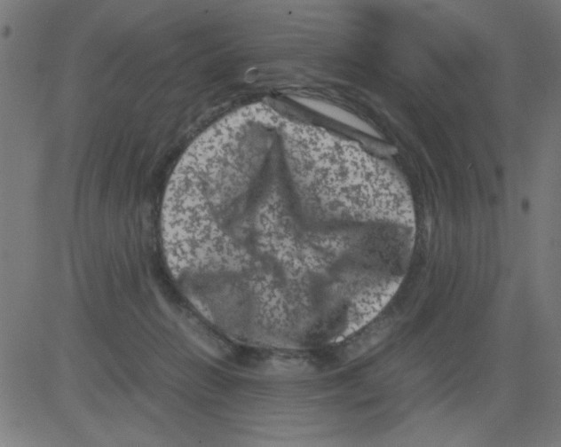 X0000081470270200702092347