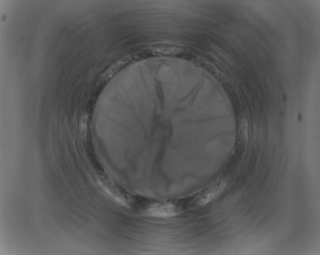 X0000081470271200702092347