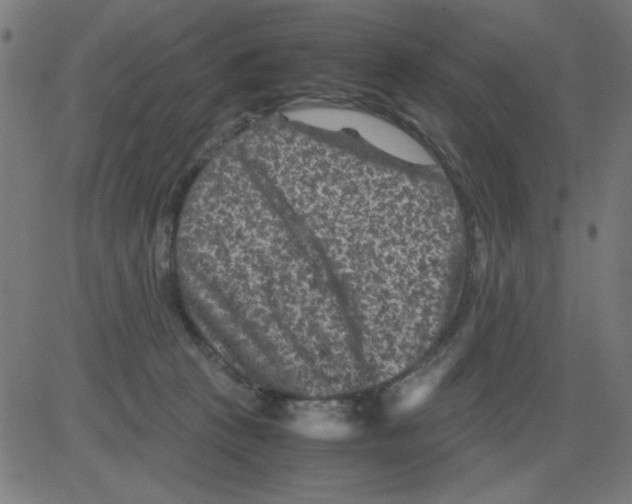 X0000081470273200702092347