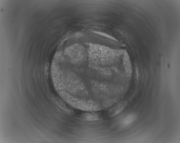 X0000081470275200702092347