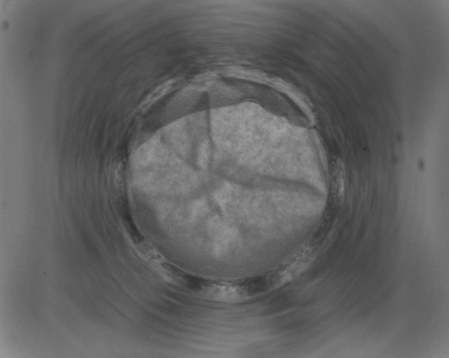 X0000081470276200702092347