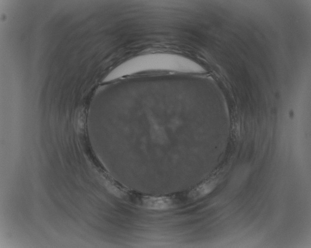 X0000081470277200702092347