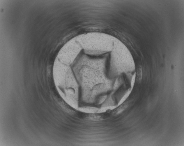 X0000081470278200702092347