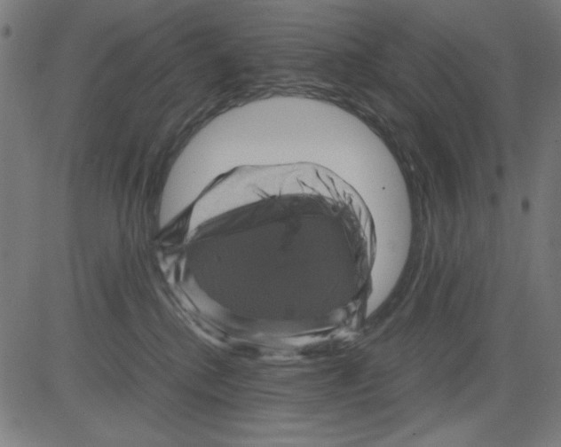 X0000081470280200702092347