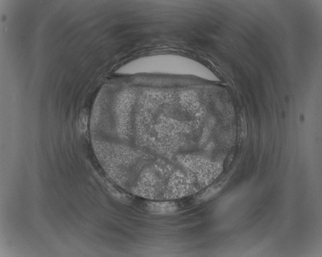 X0000081470281200702092347