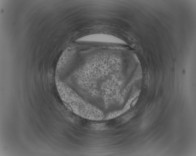 X0000081470283200702092347