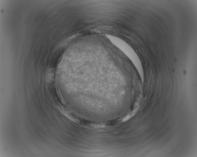 X0000081470284200702092347