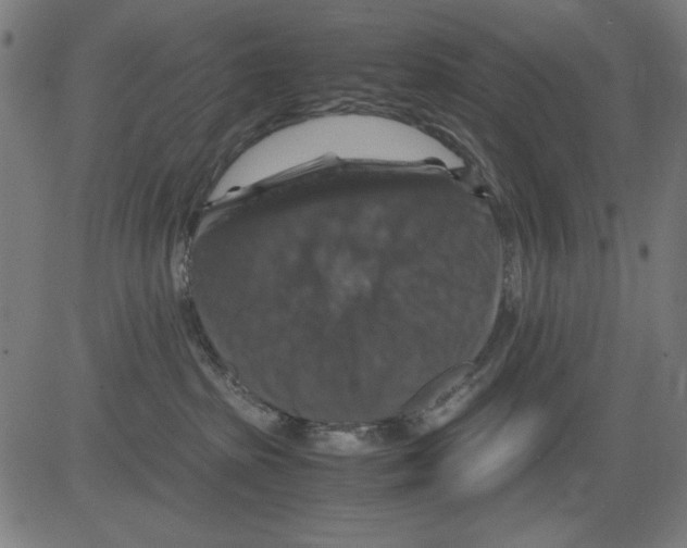 X0000081470285200702092347