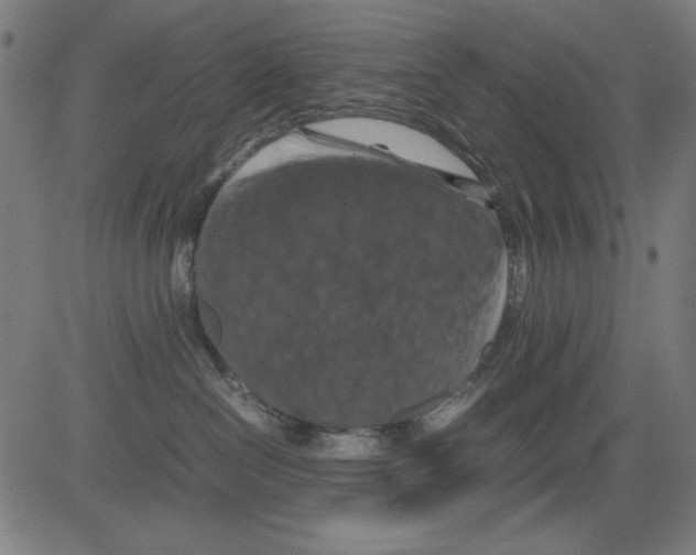 X0000081470286200702092347