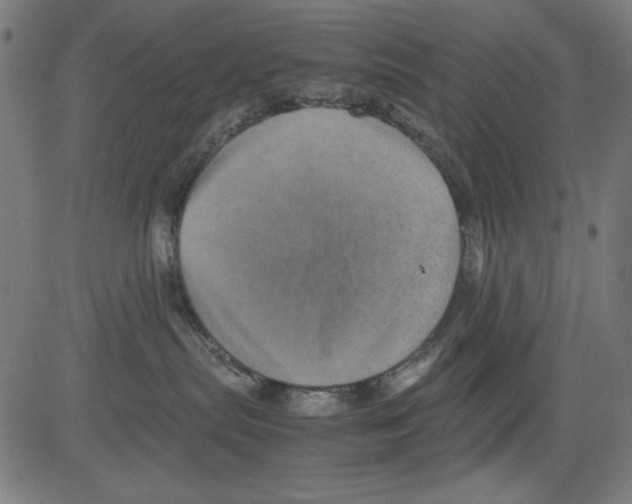 X0000081470287200702092347