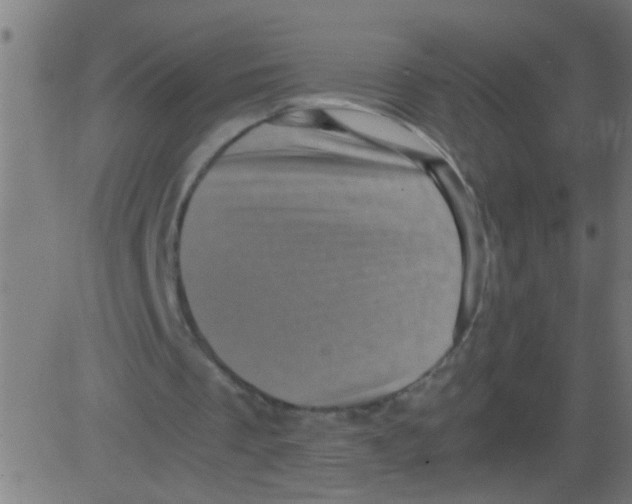 X0000081470289200702092347