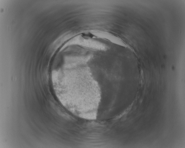 X0000081470290200702092347