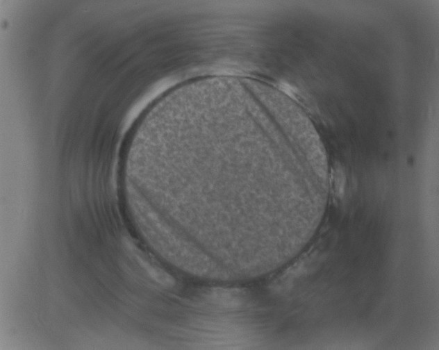 X0000081470292200702092347