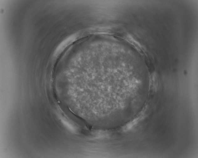 X0000081470293200702092347