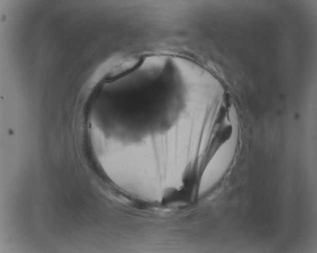 X0000081470295200702092347