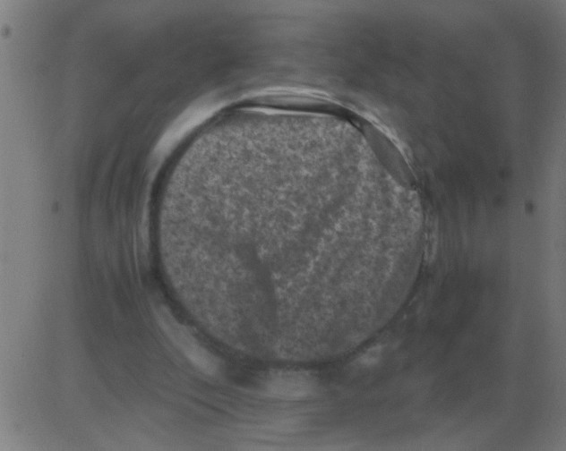 X0000081470296200702092347