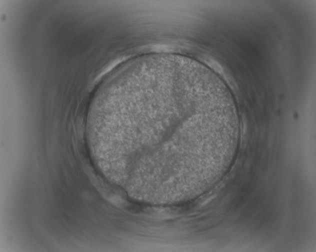 X0000081470297200702092347