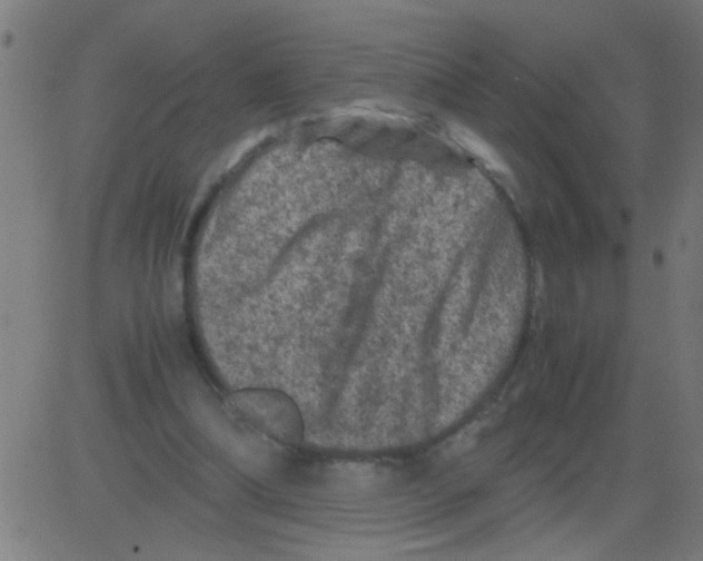 X0000081470298200702092347