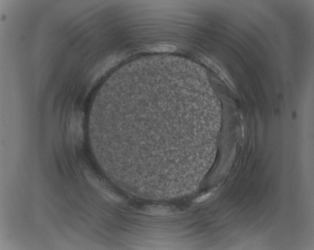 X0000081470300200702092347