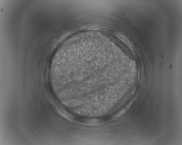 X0000081470301200702092346