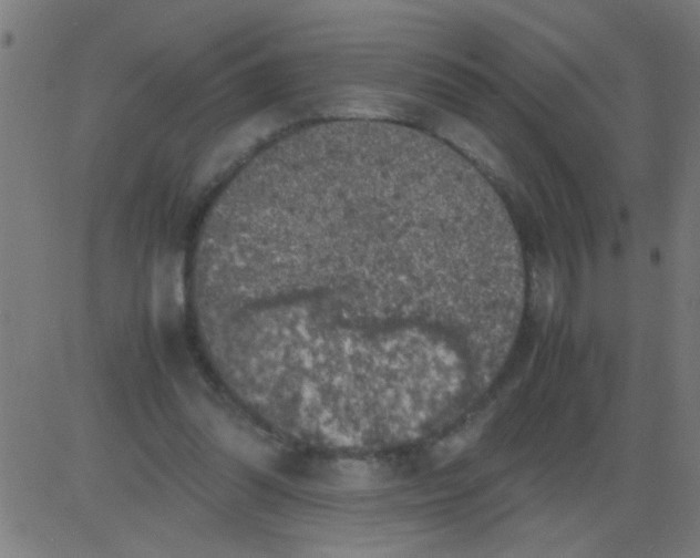 X0000081470302200702092346