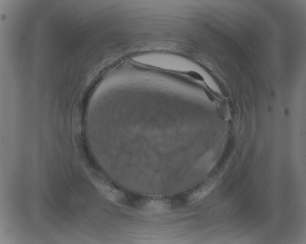 X0000081470303200702092346