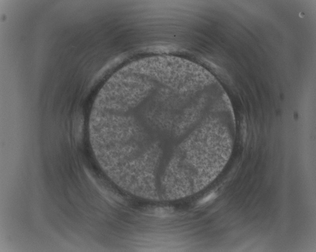 X0000081470304200702092346