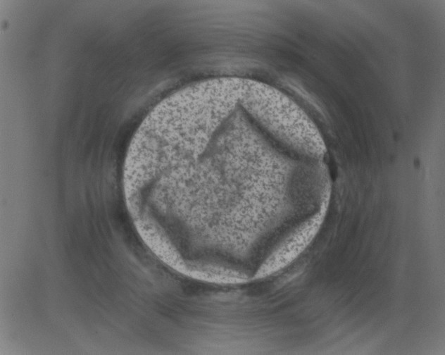 X0000081470306200702092346