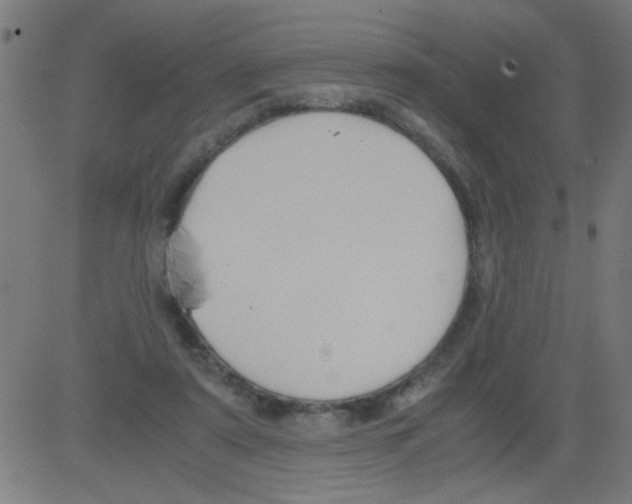 X0000081470307200702092346