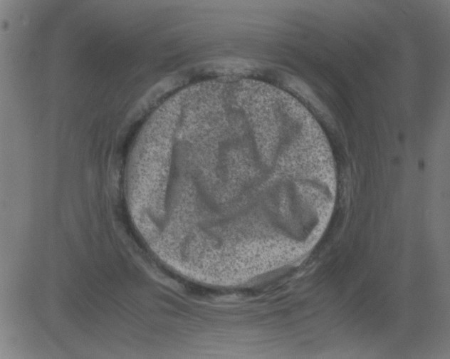 X0000081470309200702092346