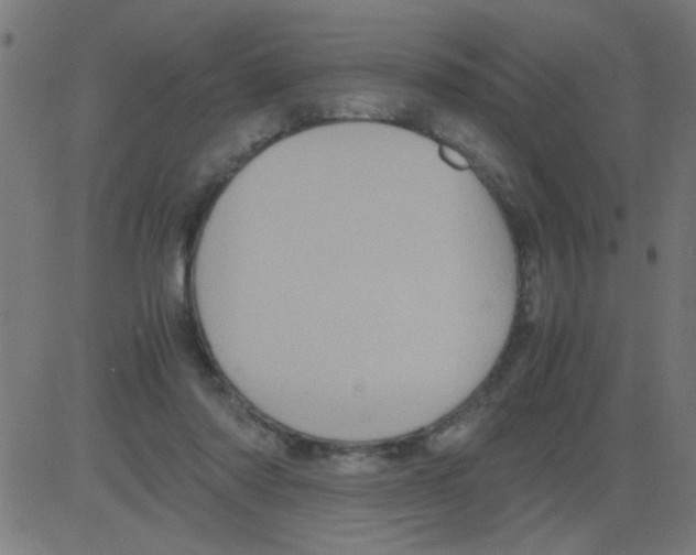 X0000081470310200702092346